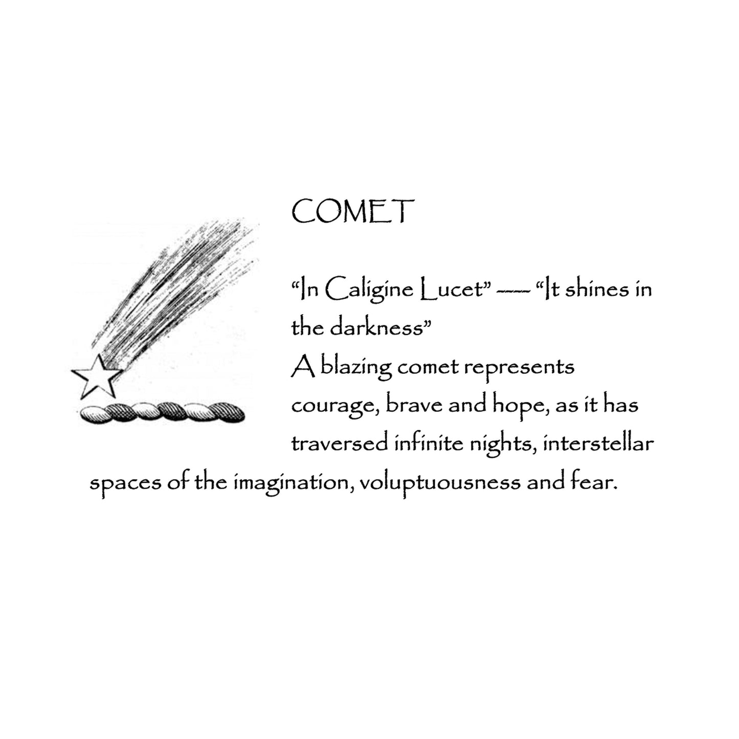 Silver Comet Pendant,  Wax Seal Necklace, Handmade Silver Charm, Intaglio Seal Heirloom, Original Design by Liliane Ting LT047